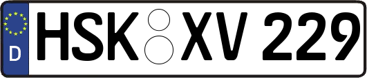 HSK-XV229