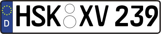 HSK-XV239