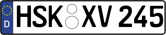 HSK-XV245