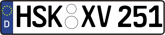 HSK-XV251