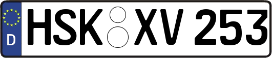 HSK-XV253