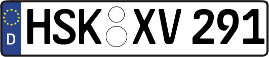 HSK-XV291