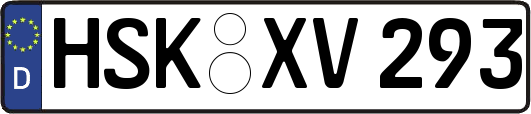 HSK-XV293