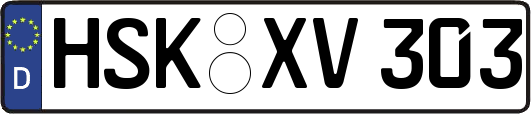 HSK-XV303