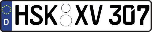 HSK-XV307