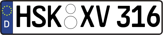 HSK-XV316
