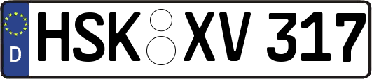 HSK-XV317