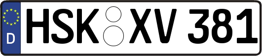 HSK-XV381