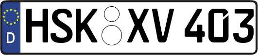 HSK-XV403
