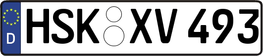 HSK-XV493