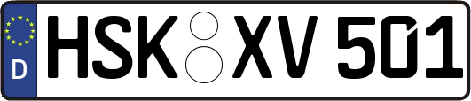 HSK-XV501