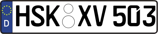 HSK-XV503