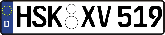 HSK-XV519