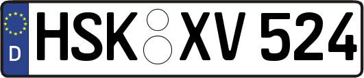 HSK-XV524