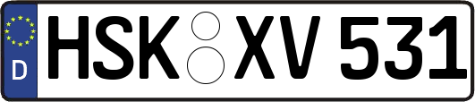 HSK-XV531