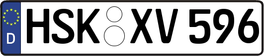 HSK-XV596