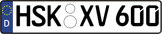 HSK-XV600