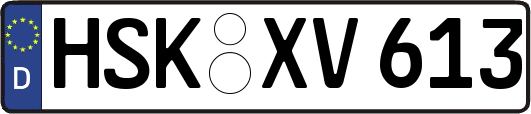 HSK-XV613