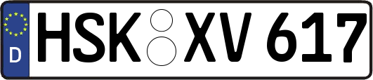 HSK-XV617