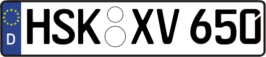 HSK-XV650