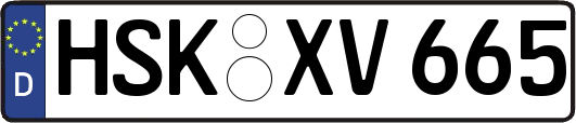 HSK-XV665