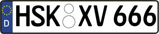 HSK-XV666