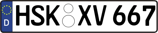 HSK-XV667