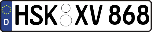 HSK-XV868