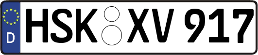 HSK-XV917