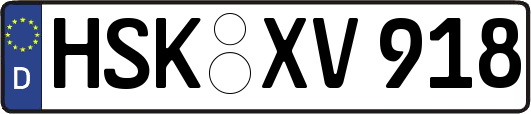 HSK-XV918