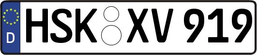 HSK-XV919