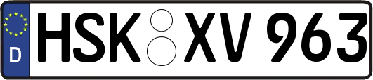 HSK-XV963