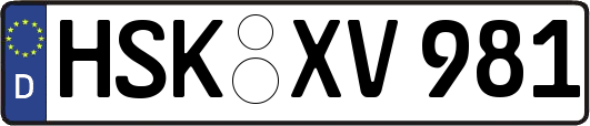 HSK-XV981