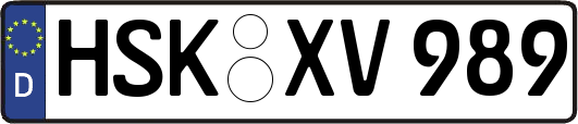 HSK-XV989