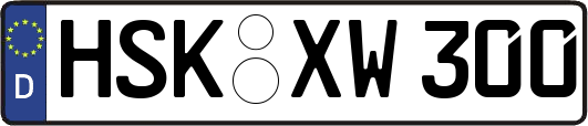 HSK-XW300