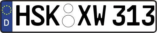 HSK-XW313