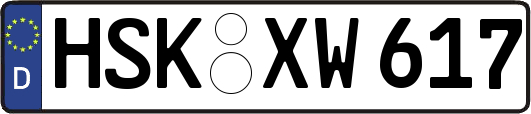 HSK-XW617