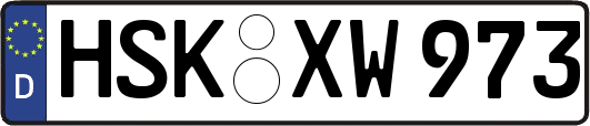 HSK-XW973