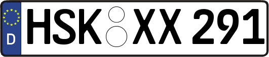 HSK-XX291