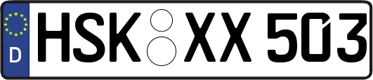 HSK-XX503