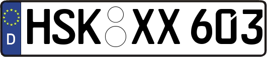 HSK-XX603