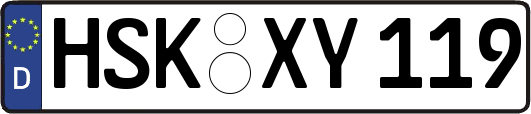 HSK-XY119