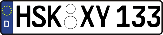 HSK-XY133