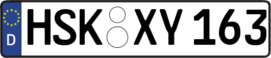 HSK-XY163