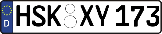 HSK-XY173