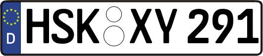 HSK-XY291
