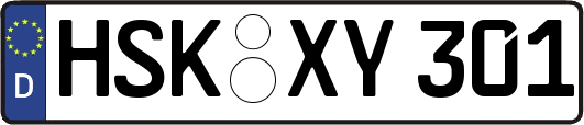 HSK-XY301