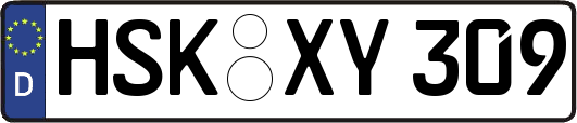 HSK-XY309