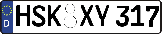 HSK-XY317
