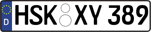 HSK-XY389